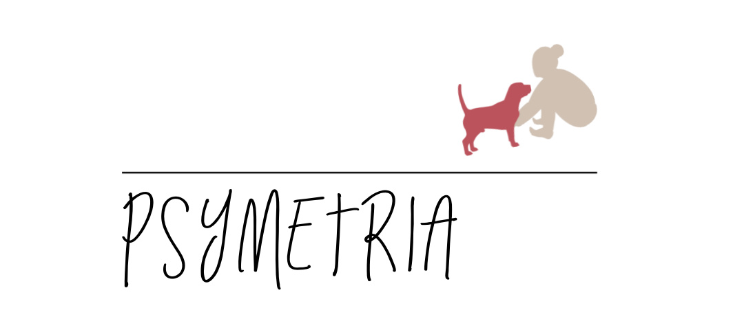 Psymetria